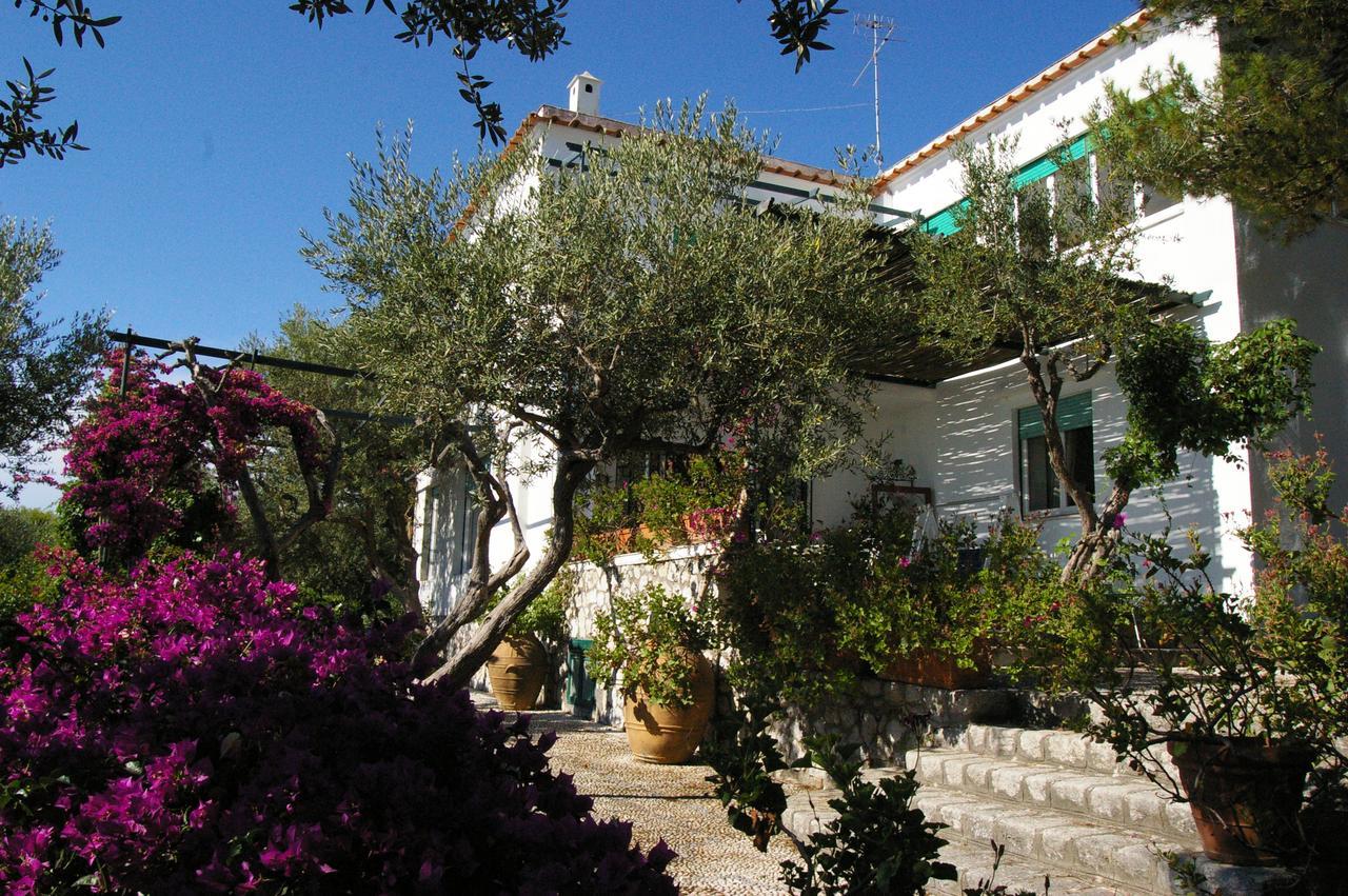 Il Rifugio B&B Capri Анакапри Экстерьер фото